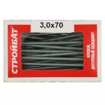 Гвоздь строительный оцинкованный Стройбат, 3,0х70 мм, 400 г