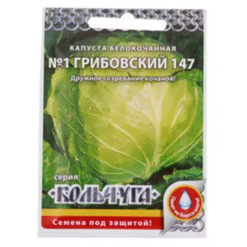 Капуста белокочанная Номер первый Грибовский 147 Кольчуга NEW, 0.5 г