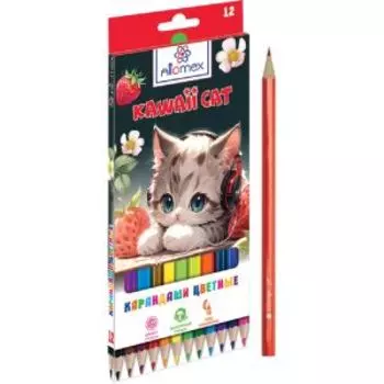 Карандаши цветные Attomex Kawaii Cat, 12 цветов, М, шестигранные