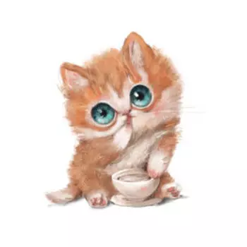 Картина на холсте Рыжий котенок, 40х40 см