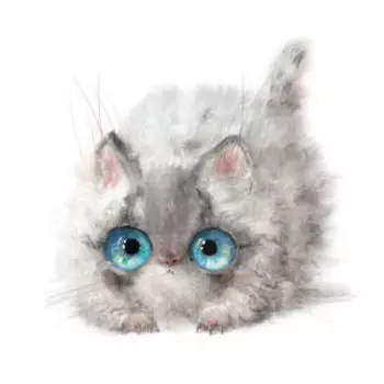 Картина на холсте Серый котенок, 40х40 см