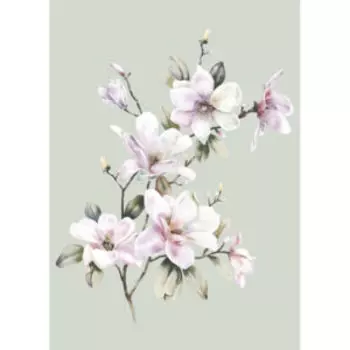 Картина на холсте Ветка магнолии, 50х70 см