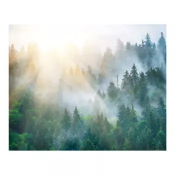 Картина на стекле Туманный лес, 40х50 см