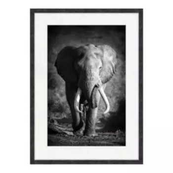 Картина в раме Африканский слон, 50х70 см