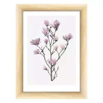 Картина в раме Цветы магнолии, 30х40 см