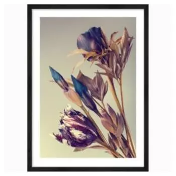 Картина в раме Postermarket Тюльпаны и ирисы, 50х70 см