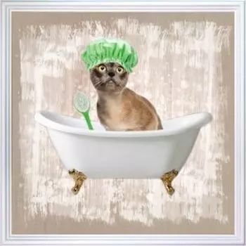Картина в раме Русская коллекция Ванна для кота, 30х30 см