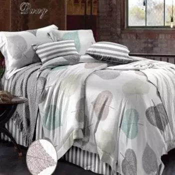 Комплект постельного белья Bella Vita Premium Винд, 2-сп, нав. 70х70 см, поплин