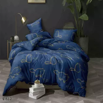 Комплект постельного белья Bonna Notte, 2-сп, полисатин дисперс, полиэстер 85 г/м2, диз. 6153