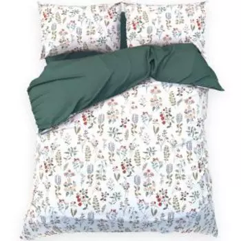 Комплект постельного белья Этель Alpine meadow, 2-сп, нав. 50х70 см, поплин