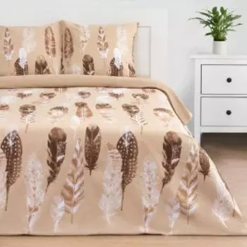 Комплект постельного белья Этель Перья Вид 1, 2-сп, нав. 70х70 см, поплин