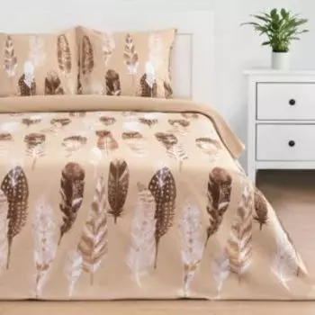 Комплект постельного белья Этель Перья Вид 1, 1.5-сп, нав. 70х70 см, поплин