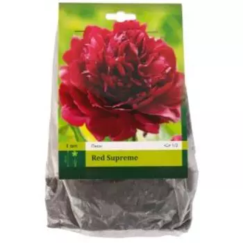 Корень Пион Ред Суприм 1/2, 1 шт