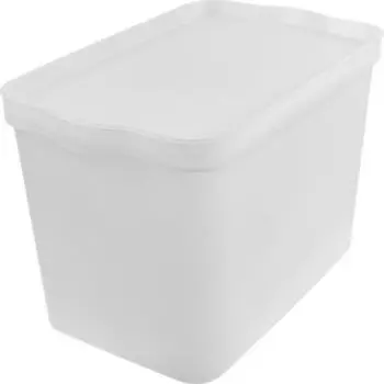 Коробка для хранения Keeplex Trendy, 24 л, матовый кристалл