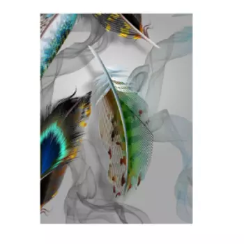 Коврик Dekorelle Velvet silk V251, 50x80 см