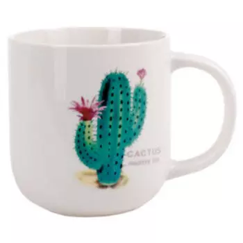 Кружка Кактусы, 350 мл, фарфор