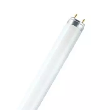 Лампа люминесцентная OSRAM, 36Вт
