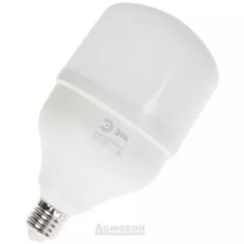 лампа светодиодная ЭРА LED POWER T100