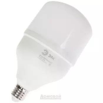 Лампа светодиодная ЭРА LED POWER T100