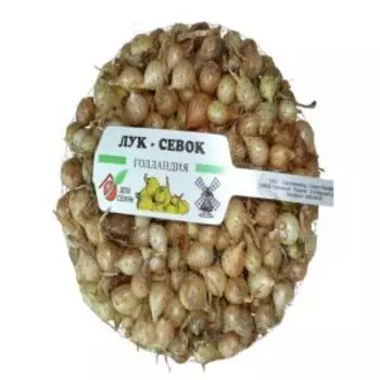 Лук-севок Штутгартер, 0.5 кг