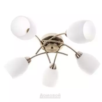 Люстра 79874/5, E27, 40Вт, металл/стекло