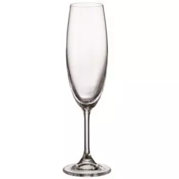 набор бокалов д/шампанского SYLVIA 2шт, 220 мл, стекло