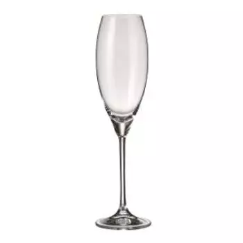 Набор бокалов для шампанского Carduelis, 6 шт, 290 мл, стекло