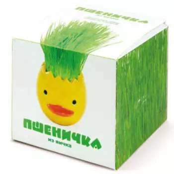 Набор для творчества Пшеничка из яичка