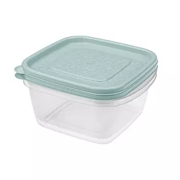 Набор контейнеров Арт-Декор, 2 шт, 1 л, пластик