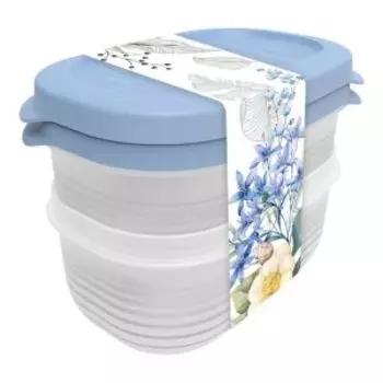 Набор контейнеров Полимербыт Цветущий сад, 2 шт, 0.65 л, пластик