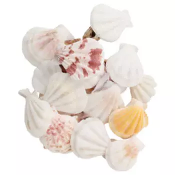 Набор ракушек, 4-5 см, 100 г