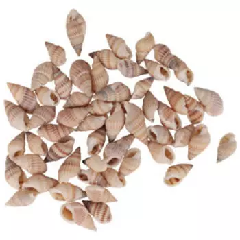 Набор ракушек Пижон Aqua, 100 г