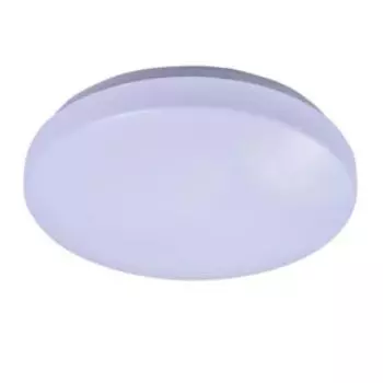 Настенно-потолочный светильник Балтийский стиль BSW 1622/36W