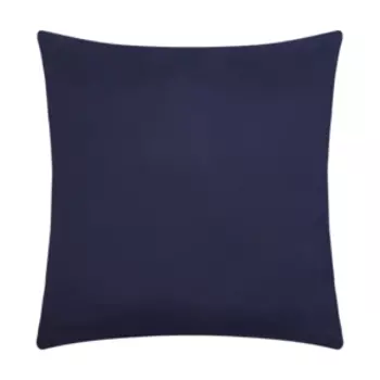 Наволочка декоративная Экономь и я, 42х42 см, микрофибра, синий
