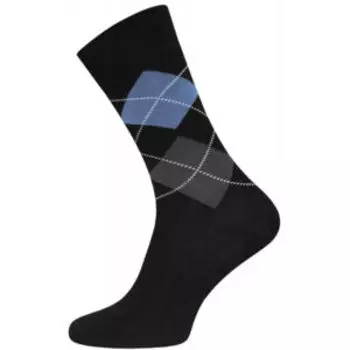 Носки мужские Брестские Classic, р.25, черный