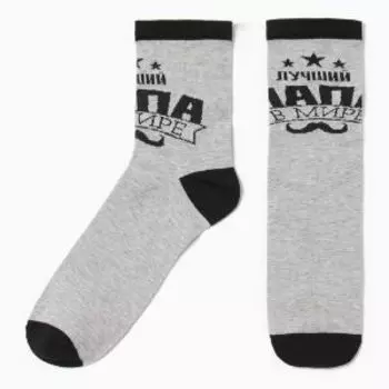 Носки мужские Kaftan Лучший в мире папа, р. 41-44, 27-29 см, хлопок/полиамид/эластан, серый