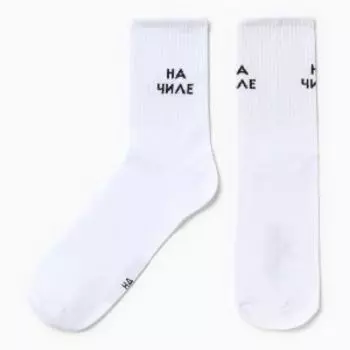 Носки мужские Kaftan На чиле, р. 41-44, 27-29 см, белый