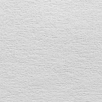 обои под окраску Elysium Интонация