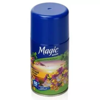Освежитель воздуха Magic Boom Летний вечер, 250 мл, сменный блок