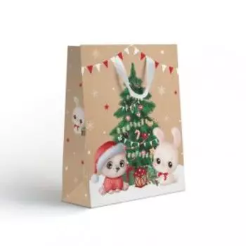 Пакет подарочный NY Крафт, 18х23х10 см, в ассортименте