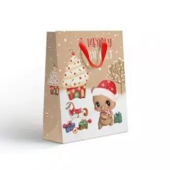 Пакет подарочный NY Крафт, 26.5х32х12.5 см, в ассортименте