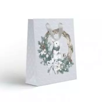 Пакет подарочный NY премиум, 18х22.7х10 см, в ассортименте