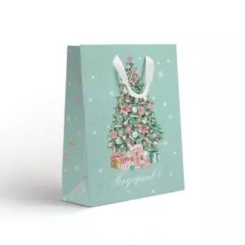 Пакет подарочный NY Sweet, 18х22.7х10 см, в ассортименте