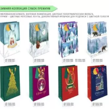 Пакет подарочный премиум ВС, 18х22х10см