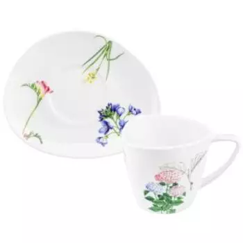 Пара чайная Ботанический атлас, 220 мл, фарфор