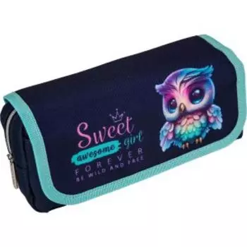 Пенал de VENTE Happy Owl, 20.5x9.5x7 см, для 40 предметов, наружный карман