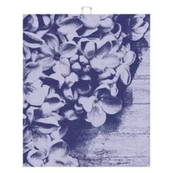 Полотенце кухонное Lilla, 50х60 см, пестротканное, гладкотканное, хлопок, 221г/м2, синий