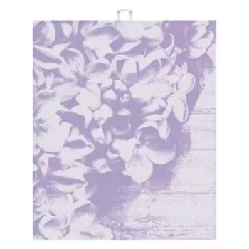 Полотенце кухонное Lilla, 50х60 см, пестротканное, гладкотканное, хлопок, 221г/м2, сиреневый