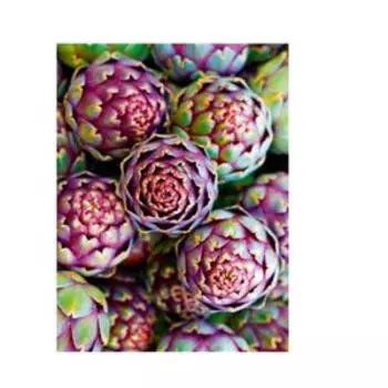 постер АРТ ДИЗАЙН Шишки, 30х40см