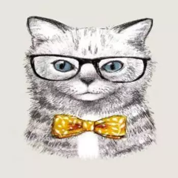 Постер Кот в очках, 21х29.7 см